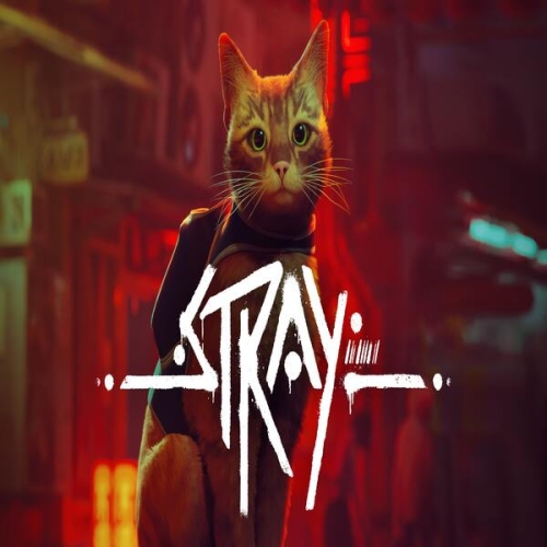  Stray + Garanti