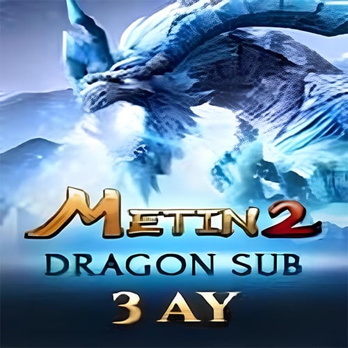  Metin2 DRAGON 90 Gün