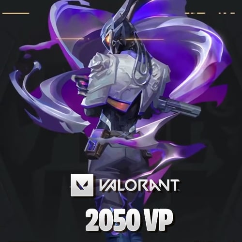  2050 Valorant VP