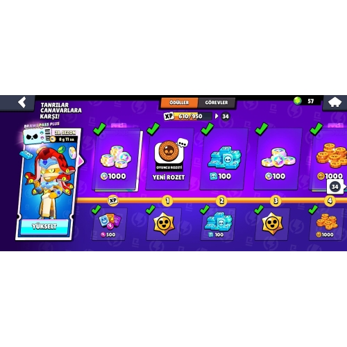  Brawl Pass Plus + 21k kupa +4Efsanevi + Berry +48 Karakter + 50 civarı skin