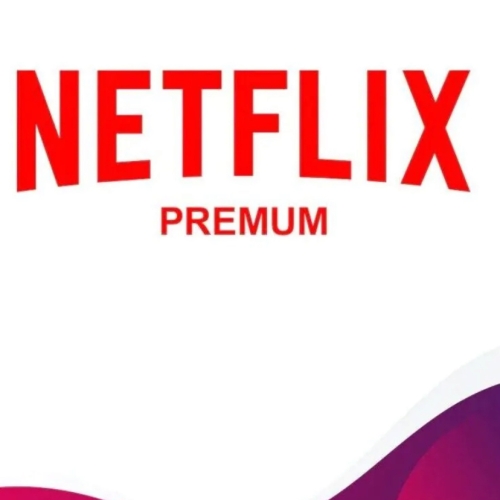  Netflix Premium Hesap