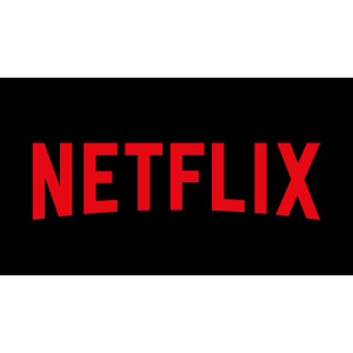  Netflix Premium Hesap