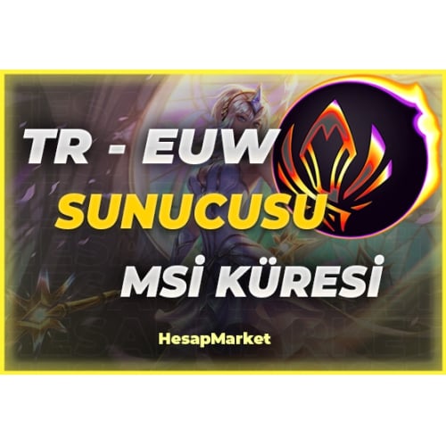  TR-EUW SUNUCUSU MSİ Küresi