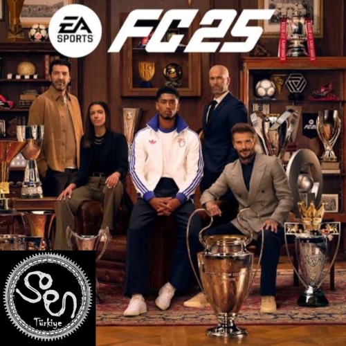  PS4 PS5 FC 25 ULTIMATE EDITION