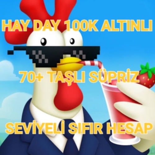  HAYDAY 100K COİNLİ 70 TAŞLI MUHTEŞEM FİYATA!