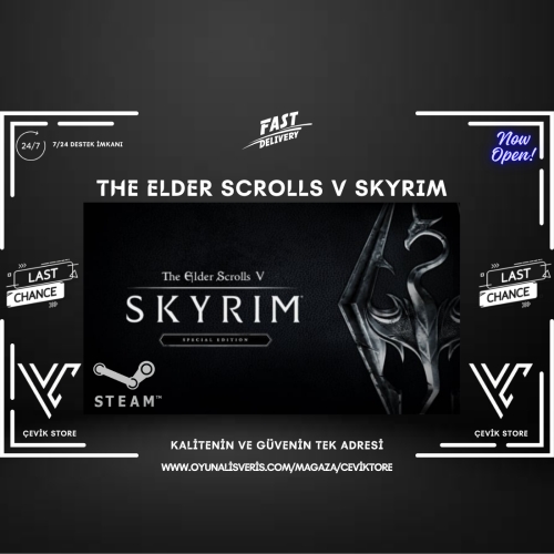  ⭐The Elder Scrolls V Skyrim Special Edition⭐+ Garanti⭐