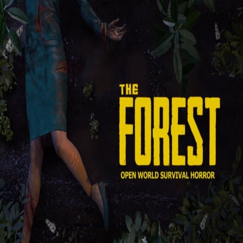  The Forest + Garanti