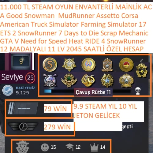  12 MADALYALI 11 LV GTA V NFS HEAT RIDE 4 ETS 2-AMERİCAN 11.000 TL STEAM OYUN ENVANTERLİ STEAM LV 25