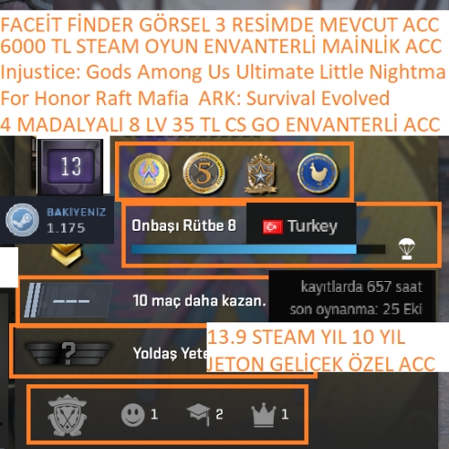  4 MADALYALI 8 LV For Honor Raft Mafia ARK: Survival Evolved 6000 TL STEAM OYUN ENVANTERLİ STEAM LV 9