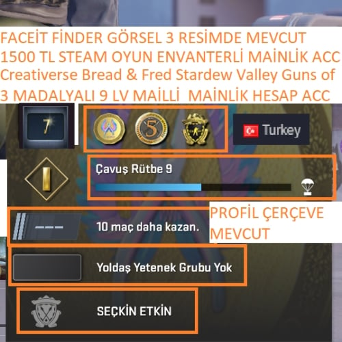  3 MADALYALI 9 LV Creativerse Bread  Fred Stardew Valley 1500 TL STEAM OYUN ENVANTERLİ MAİNLİK ACC