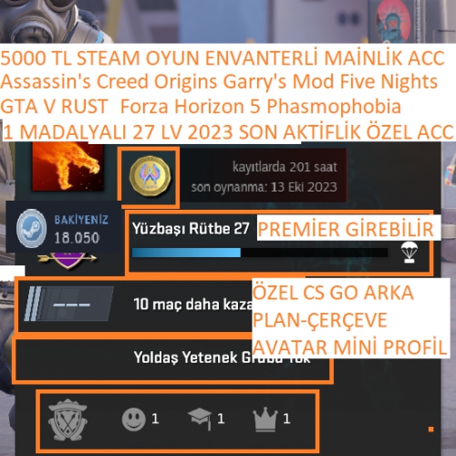  1 MADALYALI 27 LV GTA V RUST HORİZON 5 ASSASİNG ORGİNS 5000 TL STEAM OYUN ENVANTERLİ STEAM LV 3