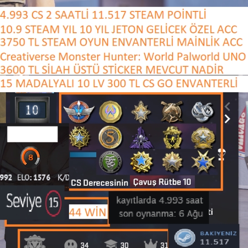  15 MADALYALI 10 LV 300+3600 TL CS 2 ENVANTER VE STİCKERLİ 4.993 CS 2 SAATLİ 3.750 TL STEAM OYUN ENVANTERLİ STEAM LV 15