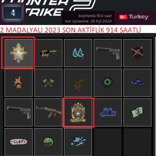  2 MADALYALI 2023 SON AKTİFLİK 914 SAATLİ PAYDAY 2 500 TL STEAM OYUN ENVANTERLİ STEAM LV 6