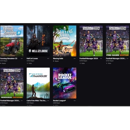  Epic Games 560 TL Değerinde Satılık Hesap Az Kullanılmış