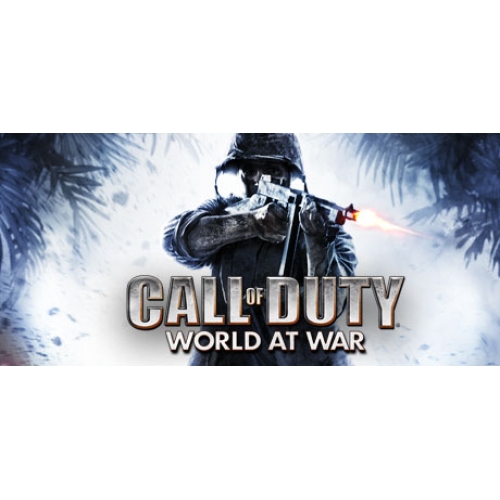  CALL OF DUTY WORLD AT WAR - KİŞİYE ÖZEL HESAP