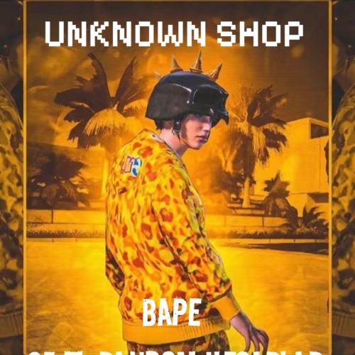  25 TL BAPE RANDOM HESAPLAR