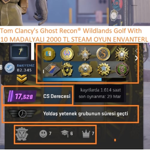  10 MADALYALI 6 LV 17 K ELO PUBG PLUS Tom Clancy\s Ghost 2000 TL STEAM OYUN ENVANTERLİ 82 K POİNT STEAM LV 7