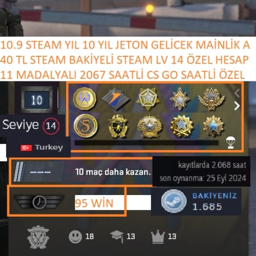  11 MADALYALI 2067 CS GO SAATLİ 950 TL STEAM OYUN ENVANTERLİ MAİLLİ MAİNLİK HESAP STEAM LV 14