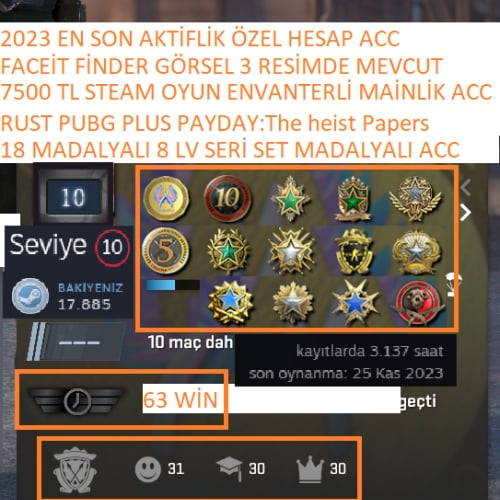  18 MADALYALI 8 LV SET MADALYA RUST PUBG PLUS 7500 TL STEAM OYUN ENVANTERLİ MAİNLİK HESAP ACC